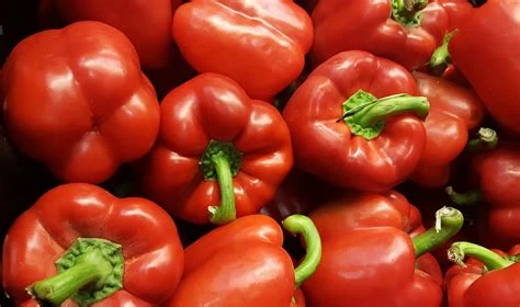 Poivron rouge