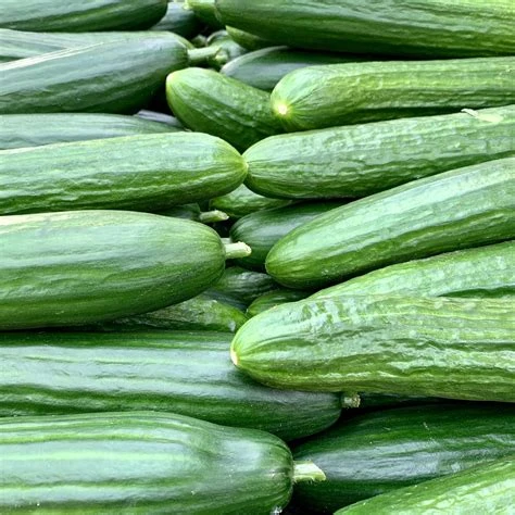 Concombre long