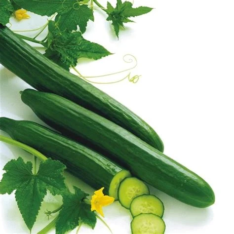 Concombre long