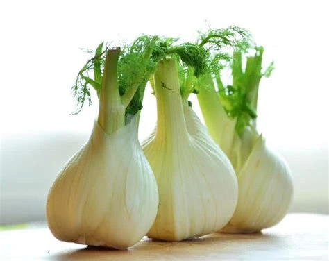 Fenouil