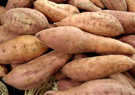 Patate douce