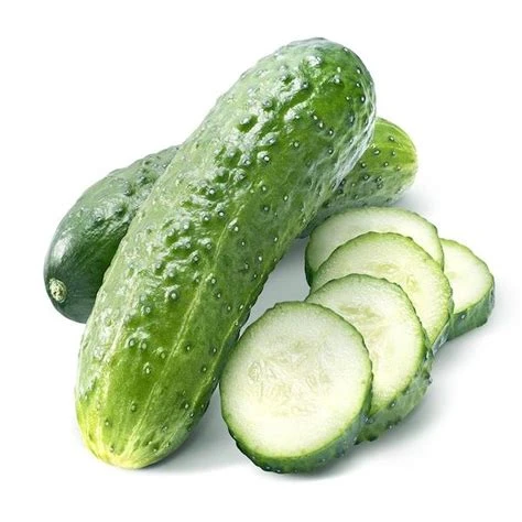 Concombre Noa