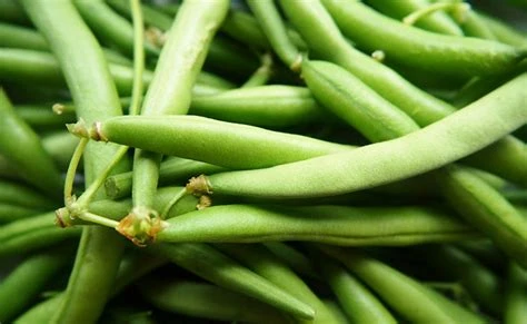 Haricot vert
