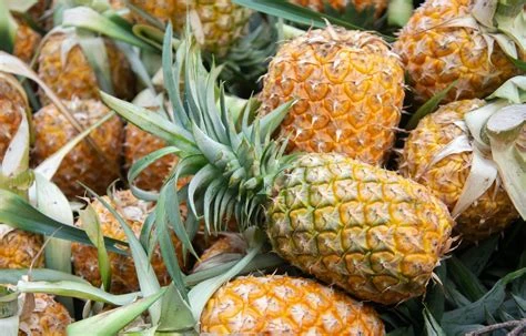 Ananas