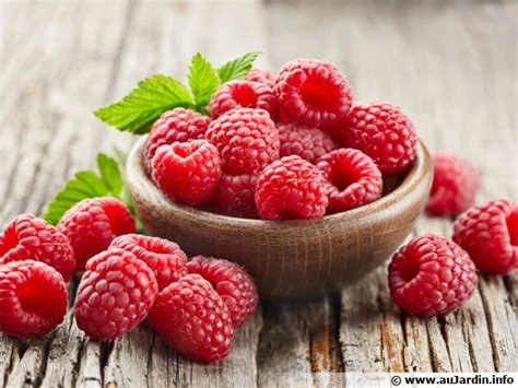 Framboise