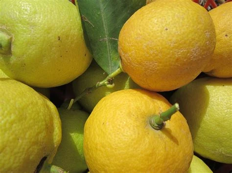 Citron
