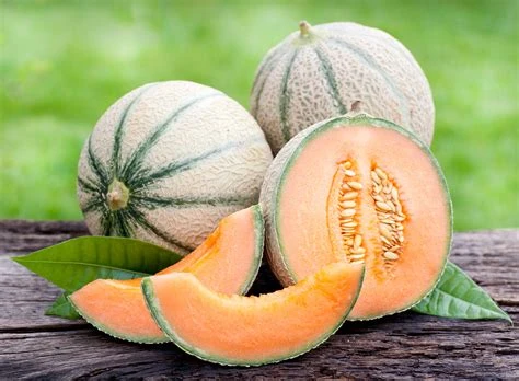 Melon