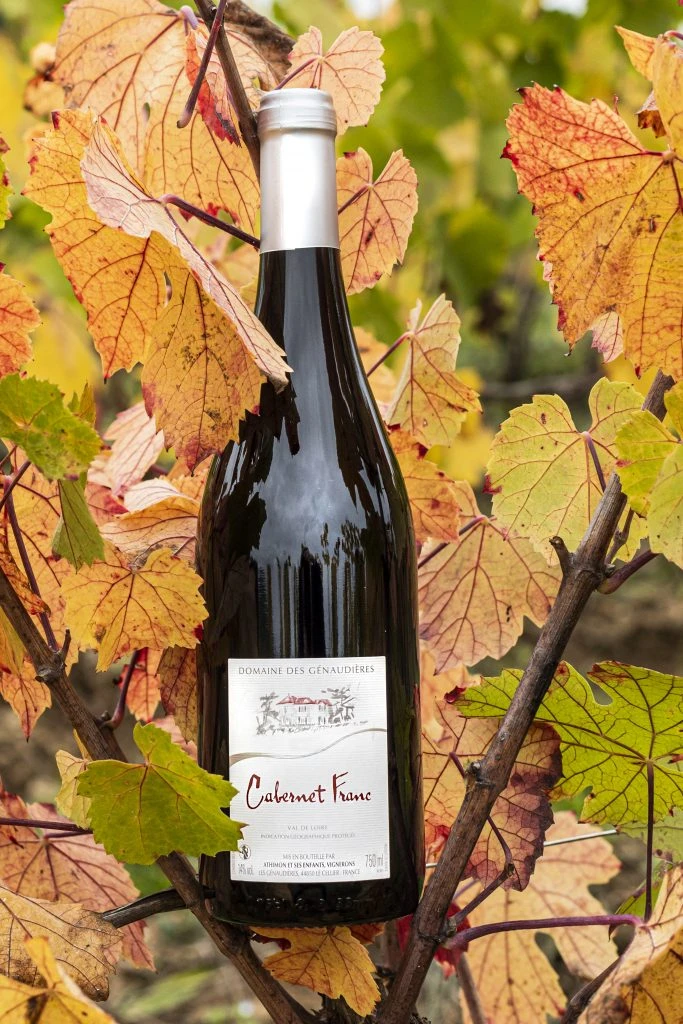 Cabernet rouge Domaine Des Génaudières