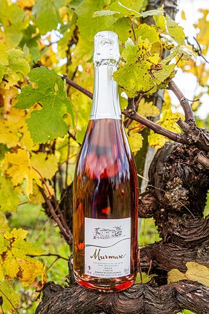 Murmure Domaine Des Génaudières