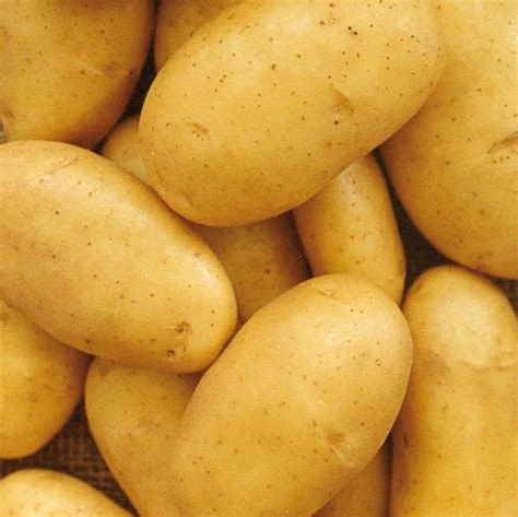 Pommes de terre au kilo