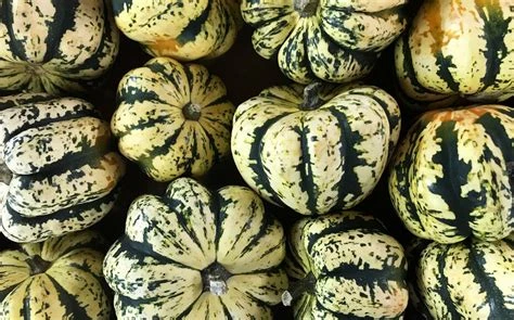 Courge Patidou à la pièce 1kg