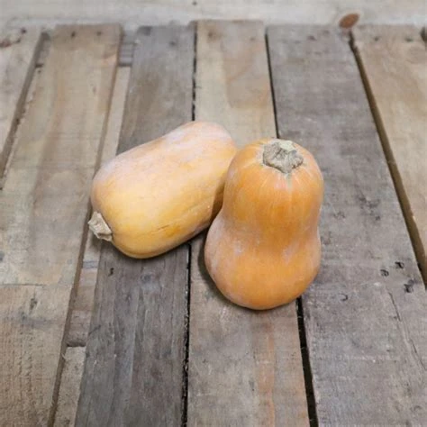 Courge Sun Teeny par 1kg