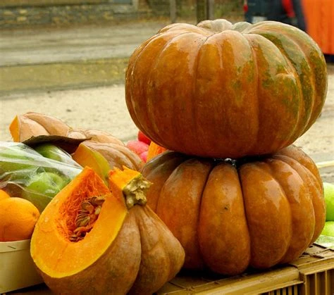 Courge musquée part de 1kg